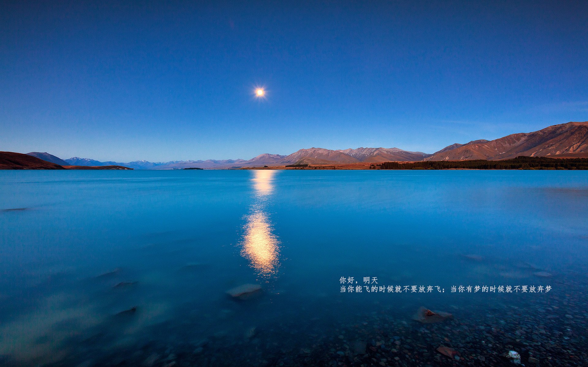 体育教育信息化平台建设与区域联动机制研究,体育教育信息化平台建设与区域联动机制研究论文